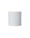 BROTHER Direct thermal label roll 102mm continues 58 meter 8 rolls/carton - nr 5
