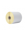 BROTHER Direct thermal label roll 102mm continues 58 meter 8 rolls/carton - nr 8