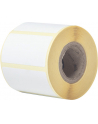 BROTHER Direct thermal label roll 51x26mm 500 labels/roll 12 rolls/carton - nr 1