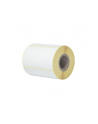 BROTHER Direct thermal label roll 76X44mm 400 labels/roll 8 rolls/carton - nr 12
