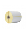 BROTHER Direct thermal label roll 102x50mm 1050 labels/roll 8 rolls/carton - nr 11