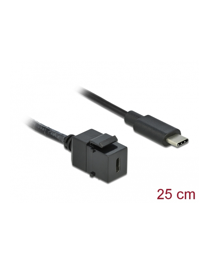 D-ELOCK Keystone Module USB 3.0 C female > USB 3.0 C male with cable główny