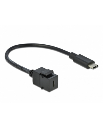 D-ELOCK Keystone Module USB 3.0 C female > USB 3.0 C male with cable