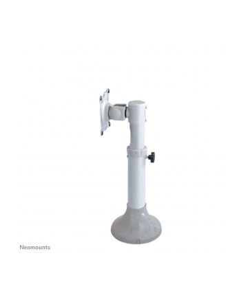 neomounts by newstar Uchwyt biurkowy FPMA-D025 SILVER nr 1