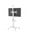 TECHLY Mobilny Stojak do Telewizora 37-70inch 70kg 2 Półki Biały - nr 4