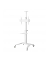 TECHLY Mobilny Stojak do Telewizora 37-70inch 70kg 2 Półki Biały - nr 7