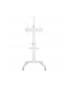 TECHLY Mobilny Stojak do Telewizora 37-70inch 70kg 2 Półki Biały - nr 8