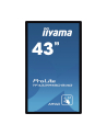 iiyama Monitor wielkoformatowy 43 cale TF4339MSC-B1AG,AMVA,HDMIx2,DP,RJ45,IP54,24/7,POJ.12p - nr 13