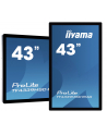 iiyama Monitor wielkoformatowy 43 cale TF4339MSC-B1AG,AMVA,HDMIx2,DP,RJ45,IP54,24/7,POJ.12p - nr 15