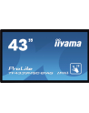 iiyama Monitor wielkoformatowy 43 cale TF4339MSC-B1AG,AMVA,HDMIx2,DP,RJ45,IP54,24/7,POJ.12p - nr 16