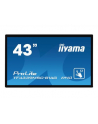 iiyama Monitor wielkoformatowy 43 cale TF4339MSC-B1AG,AMVA,HDMIx2,DP,RJ45,IP54,24/7,POJ.12p - nr 17