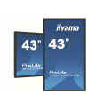 iiyama Monitor wielkoformatowy 43 cale TF4339MSC-B1AG,AMVA,HDMIx2,DP,RJ45,IP54,24/7,POJ.12p - nr 1