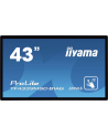 iiyama Monitor wielkoformatowy 43 cale TF4339MSC-B1AG,AMVA,HDMIx2,DP,RJ45,IP54,24/7,POJ.12p - nr 23