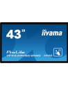 iiyama Monitor wielkoformatowy 43 cale TF4339MSC-B1AG,AMVA,HDMIx2,DP,RJ45,IP54,24/7,POJ.12p - nr 24