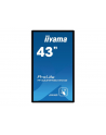 iiyama Monitor wielkoformatowy 43 cale TF4339MSC-B1AG,AMVA,HDMIx2,DP,RJ45,IP54,24/7,POJ.12p - nr 25