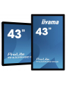 iiyama Monitor wielkoformatowy 43 cale TF4339MSC-B1AG,AMVA,HDMIx2,DP,RJ45,IP54,24/7,POJ.12p - nr 26