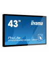 iiyama Monitor wielkoformatowy 43 cale TF4339MSC-B1AG,AMVA,HDMIx2,DP,RJ45,IP54,24/7,POJ.12p - nr 27