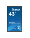 iiyama Monitor wielkoformatowy 43 cale TF4339MSC-B1AG,AMVA,HDMIx2,DP,RJ45,IP54,24/7,POJ.12p - nr 2