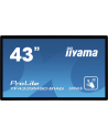 iiyama Monitor wielkoformatowy 43 cale TF4339MSC-B1AG,AMVA,HDMIx2,DP,RJ45,IP54,24/7,POJ.12p - nr 30