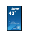 iiyama Monitor wielkoformatowy 43 cale TF4339MSC-B1AG,AMVA,HDMIx2,DP,RJ45,IP54,24/7,POJ.12p - nr 39