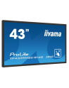 iiyama Monitor wielkoformatowy 43 cale TF4339MSC-B1AG,AMVA,HDMIx2,DP,RJ45,IP54,24/7,POJ.12p - nr 5