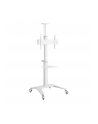 TECHLY Mobilny Stojak do Telewizora 37-70inch 70kg 2 Półki Biały - nr 2