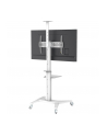 TECHLY Mobilny Stojak do Telewizora 37-70inch 70kg 2 Półki Biały - nr 4