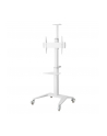 TECHLY Mobilny Stojak do Telewizora 37-70inch 70kg 2 Półki Biały - nr 7