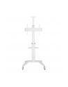 TECHLY Mobilny Stojak do Telewizora 37-70inch 70kg 2 Półki Biały - nr 8