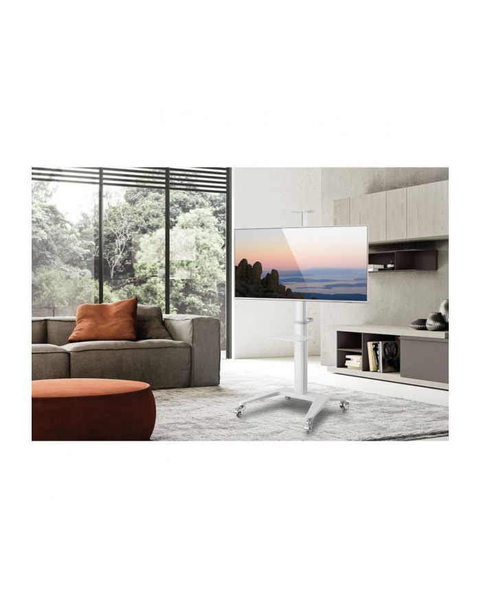TECHLY Mobilny Stojak do Telewizora 37-70inch 70kg 2 Półki Biały główny