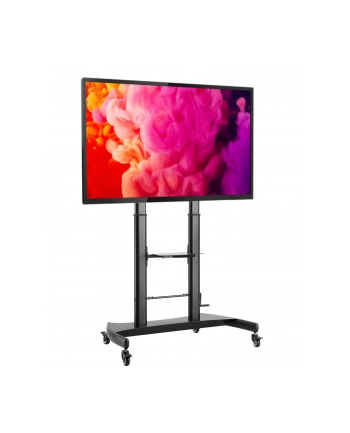 TECHLY Stojak do Monitora Interaktywnego lub TV 60-100inch 100kg