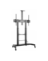TECHLY Stojak do Monitora Interaktywnego lub TV 60-100inch 100kg - nr 19