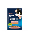 FELIX Fantastic Karma dla kotów z łososiem w galaretce - nr 2