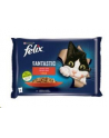 Felix Fantastic Karma dla kotów wiejskie smaki w galaretce 340 g (4 x 85 g) - nr 1