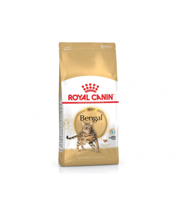 ROYAL CANIN Bengal Adult karma sucha dla kotów dorosłych rasy bengal 10 kg