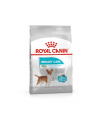 Royal Canin Mini Urinary Care CCN 1kg - nr 1