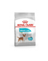 Royal Canin Mini Urinary Care CCN 3kg - nr 1