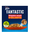 Felix Fantastic w galaretce Wiejskie Smaki 24x85G - nr 12