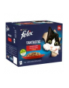 Felix Fantastic w galaretce Wiejskie Smaki 24x85G - nr 14