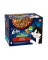 Felix Sensations w galaretce Wiejskie Smaki 24x85G - nr 11