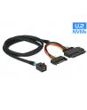 D-ELOCK KABEL SAS MINI HD SFF-8643(M)->U2 SFF-8639(M)+SATA 15 PIN(F) 075M 84821 - nr 2