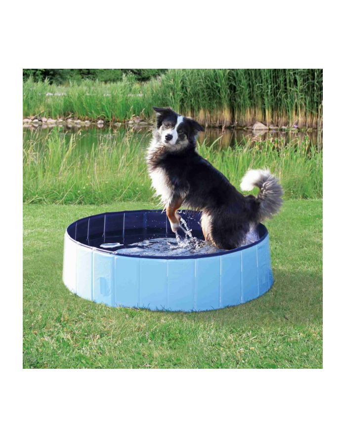 trixie Basen dla psa  80 x 20 cm  jasnoniebieski główny