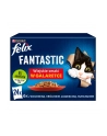 Felix Fantastic w galaretce Wiejskie Smaki 24x85G - nr 13