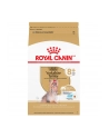 Karma ROYAL CANIN BHN Yorkshire Ageing 8+ 3kg - nr 1