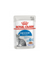 Karma ROYAL CANIN Adult Indoor Sterilised 12x85G - nr 5