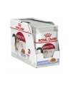 Karma ROYAL CANIN Adult Instinctive jelly 12x85G - nr 1