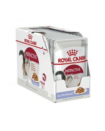 Karma ROYAL CANIN Adult Instinctive jelly 12x85G