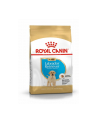 Karma ROYAL CANIN BHN Labrador Retriever Puppy 3kg - nr 1