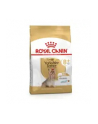 Karma ROYAL CANIN BHN Yorkshire Ageing 8+ 3kg - nr 2