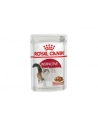 Karma ROYAL CANIN Instinctive Adult sos 12x85G - nr 5